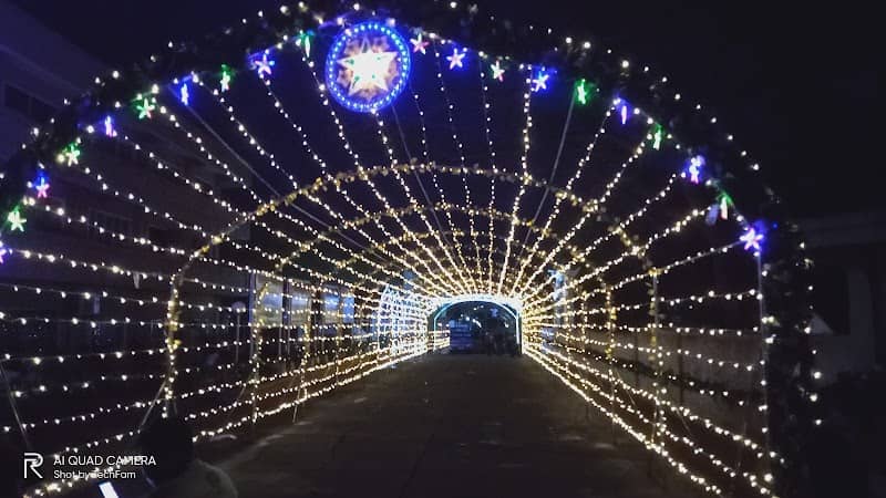 Torrijos Tunnel of Lights - Image 2