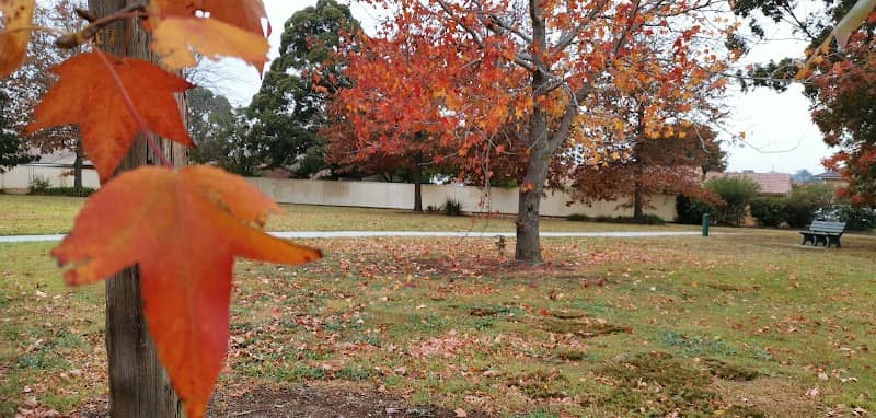 Satelberg Park - Image 1