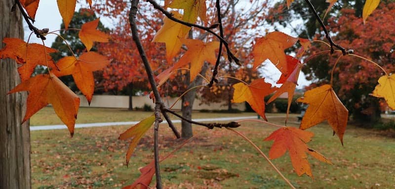 Satelberg Park - Image 2