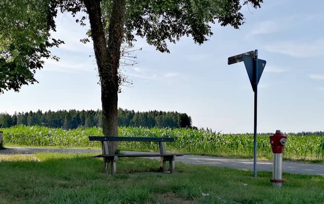 Lindenbankerl - Image 1