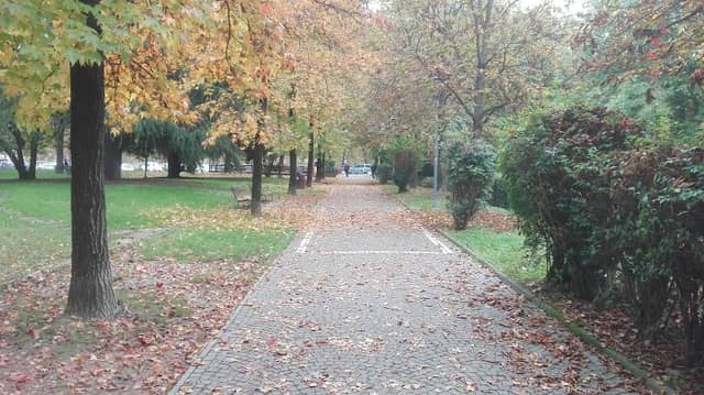 Allea Park of San Luca - Image 2