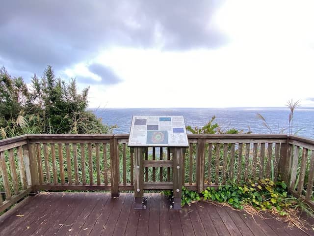海ガメ展望台 - Image 1