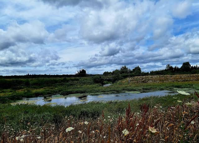 Tullamore Wetlands - Image 1