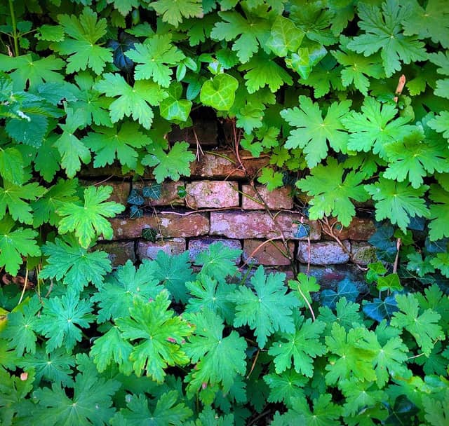 Ecokathedraal / Le Roy tuin Heerenveen - Image 1