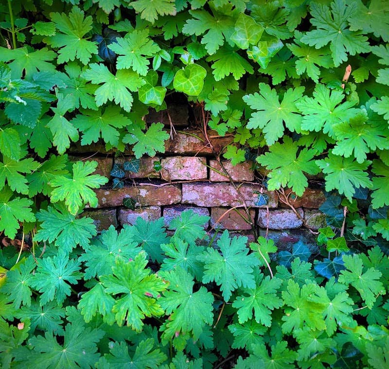 Ecokathedraal / Le Roy tuin Heerenveen - Image 1