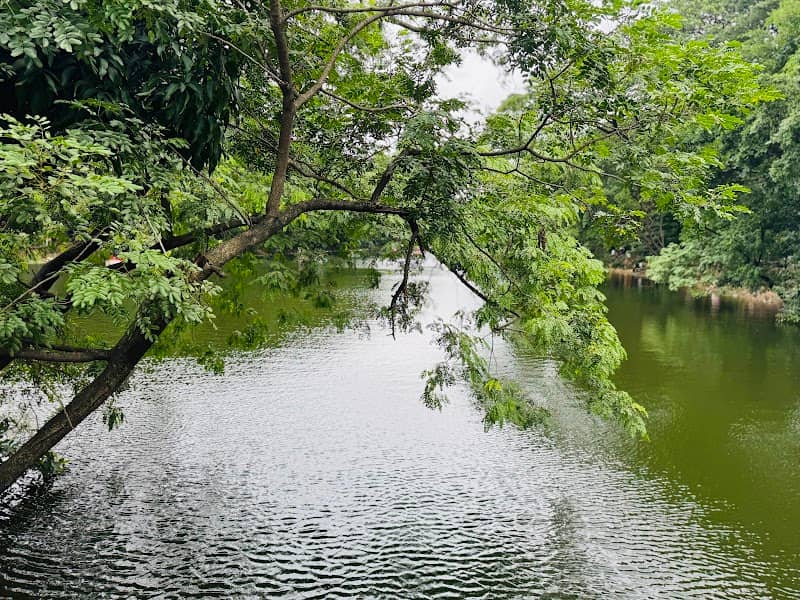 32 No Lake - Image 1