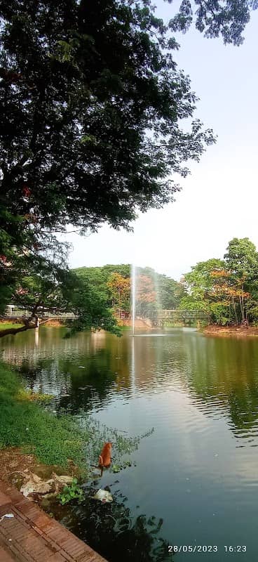 32 No Lake - Image 2