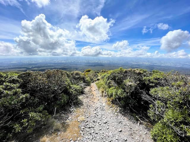 Te Papakura O Taranaki - Image 3