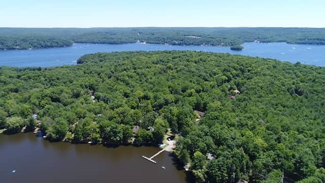 T Dock - Image 1