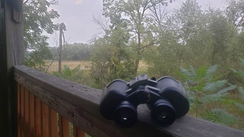 Bird Observation Area - Image 2
