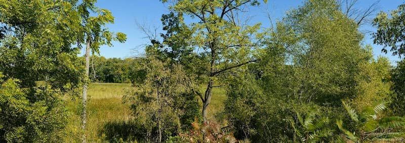 Bird Observation Area - Image 1