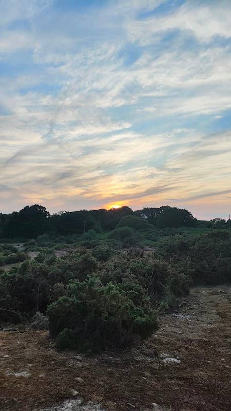 Westleton common - Image 1