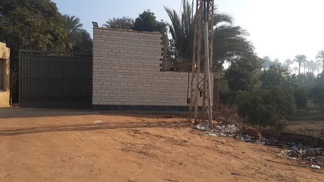 نقطة المنصورية على الضبعه - Image 2