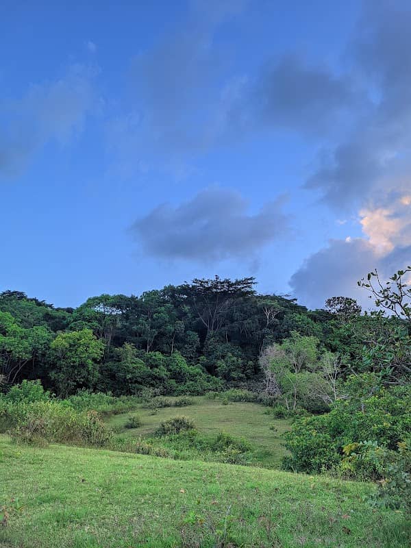 FURB Mata de Jaguarana - Image 1