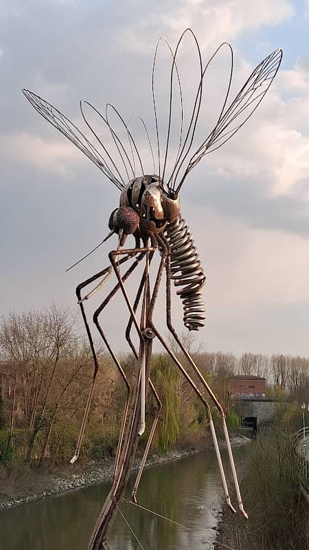Monumento alla Zanzara - Image 1