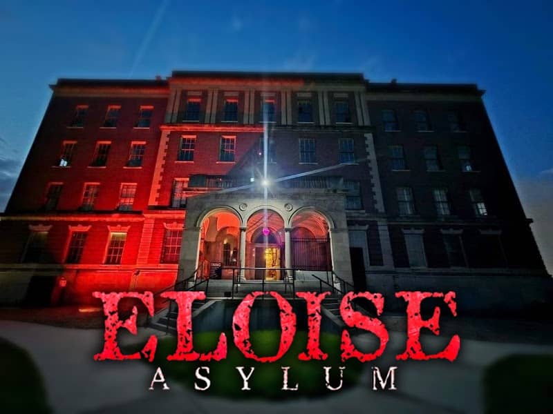 Eloise Asylum - Image 1