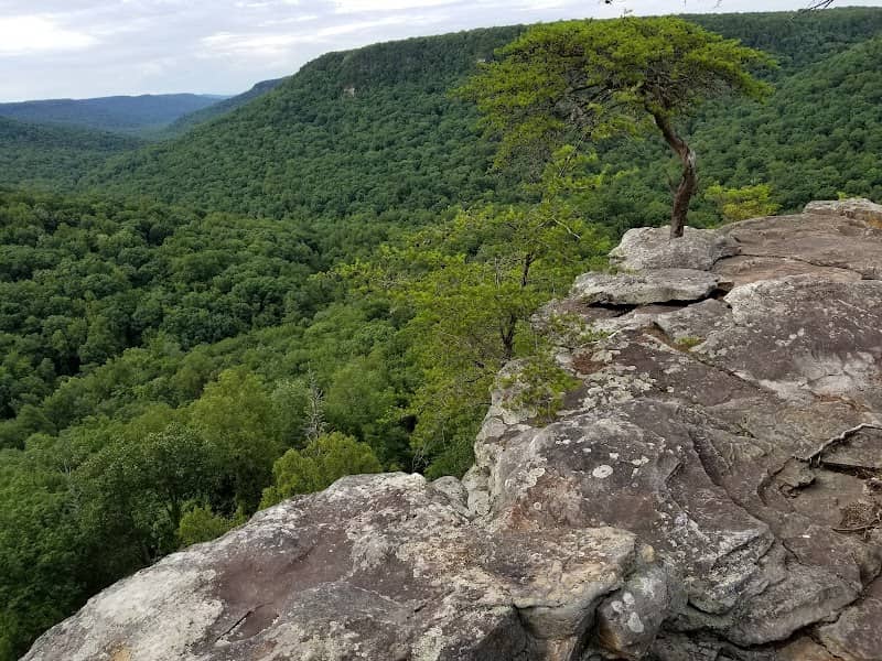 Secret Overlook - Image 1