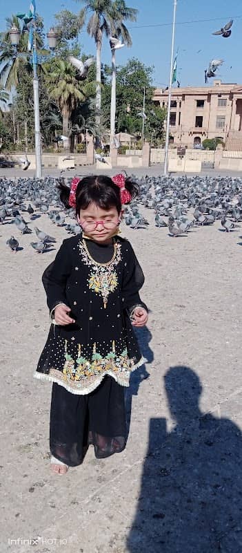 Pigeon Round About (kabotar chowrangi) SHC - Image 1