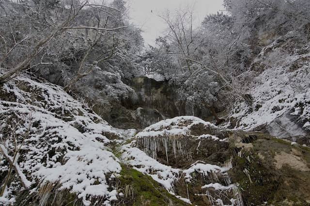 WALD WEG - Image 1