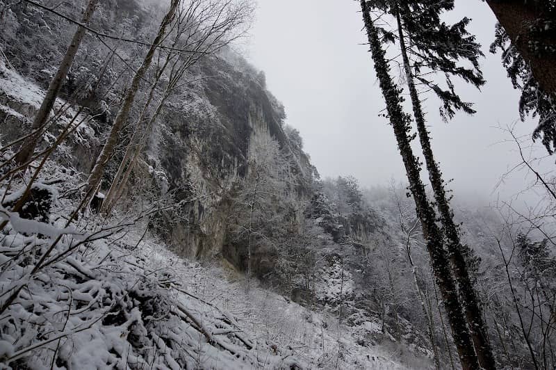 WALD WEG - Image 2