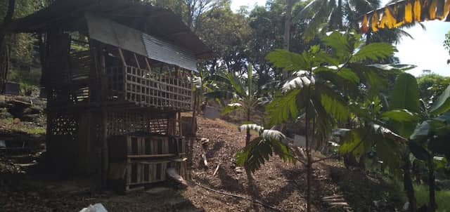 King Giya Agrifarm - Image 1
