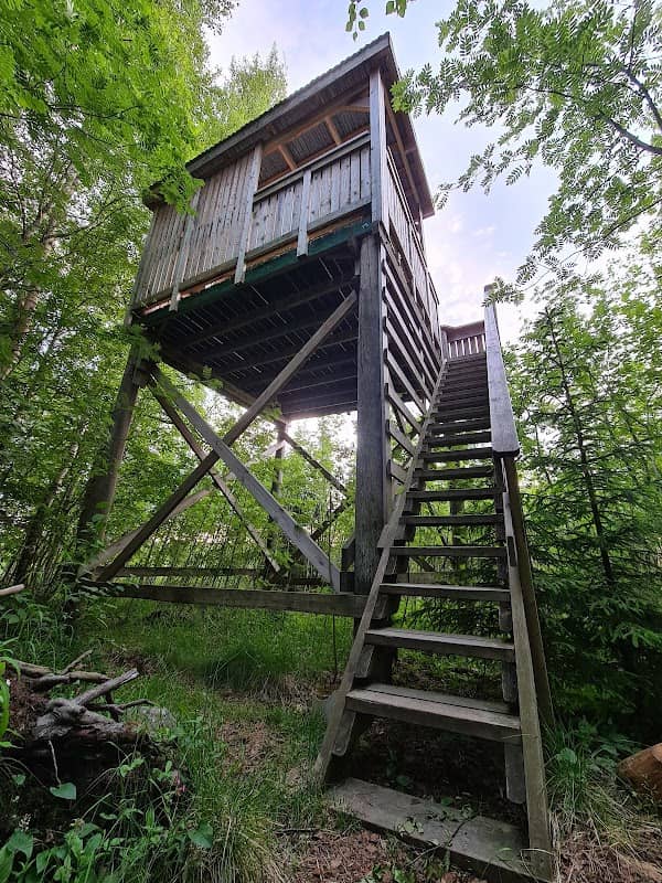 Sandsundsfjärdens fågeltorn - Image 1