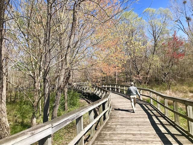 Cashie River Boardwalk - Image 1