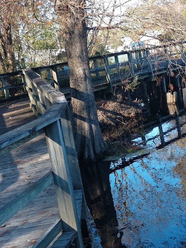 Cashie River Boardwalk - Image 3