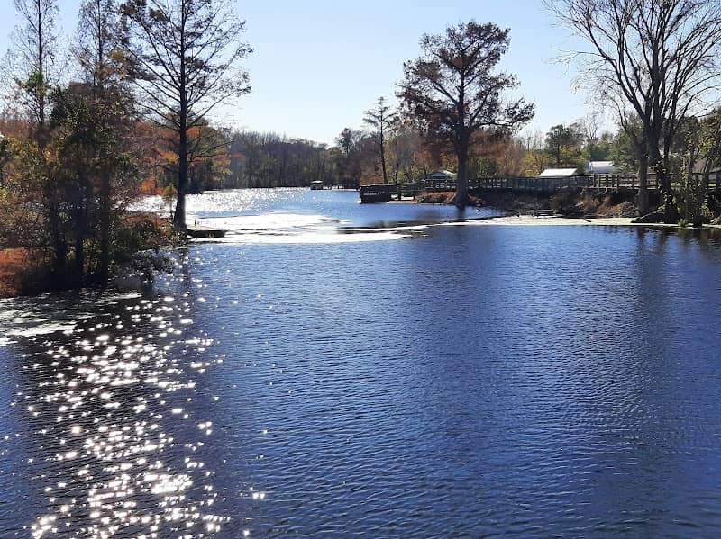 Cashie River Boardwalk - Image 2