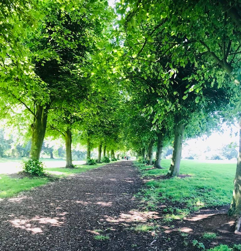 Moira Demesne - Image 1