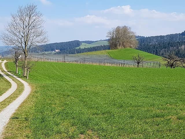 Galgenhubel - Image 2