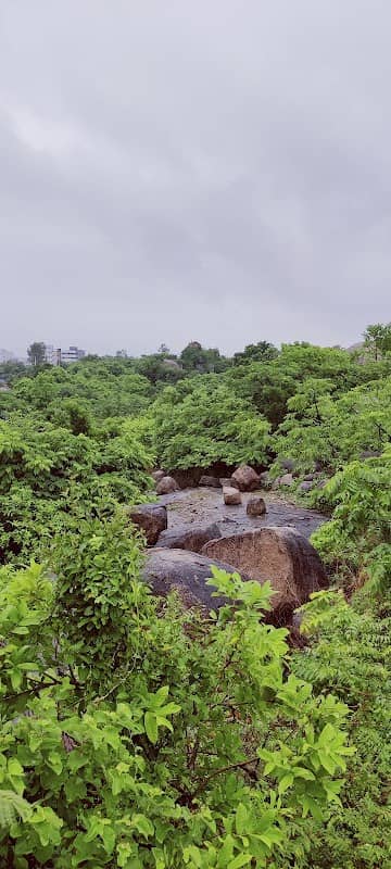 Birds Watch Point - Image 3