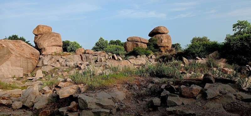 Birds Watch Point - Image 2