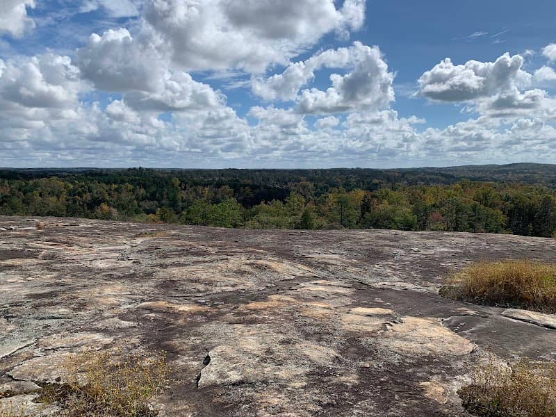 Top of Bradley Mountain - Image 1