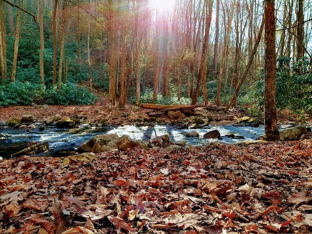 Laurel Falls Trailhead and Appalachian Trail - Image 1