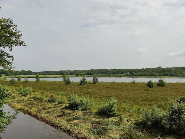 Arcen, Lingsforterweg kasteeltuin - Image 1