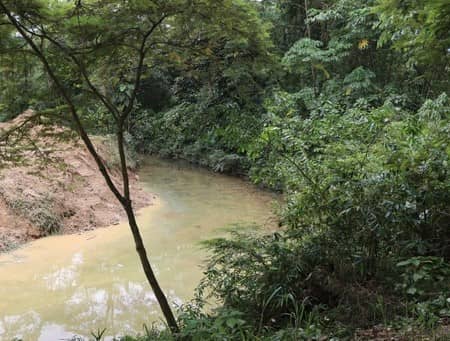 Caño Cola de Pato - Image 1