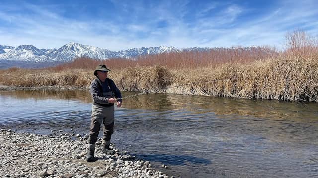 Bishop Trout Rodeo - Image 1