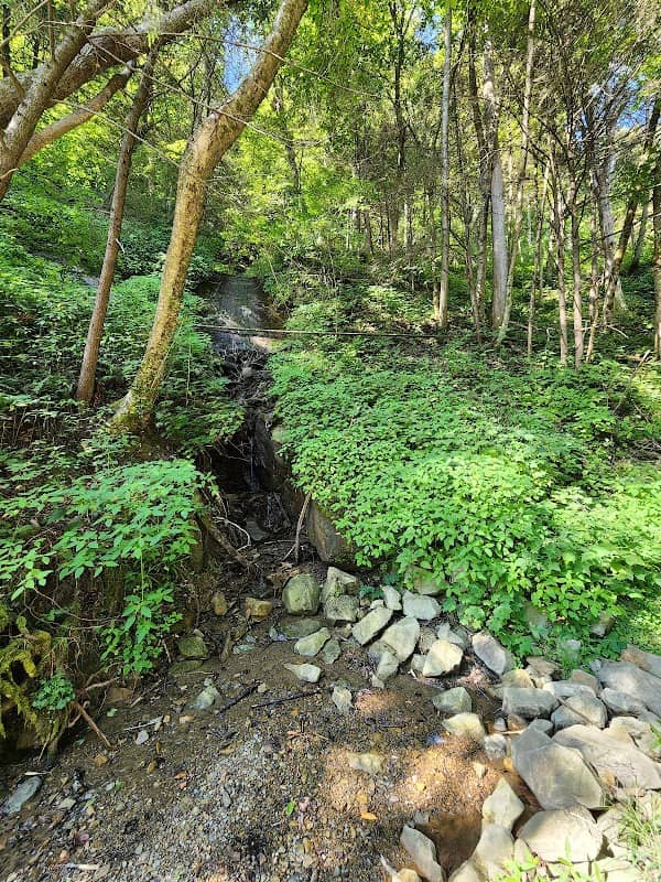 Clear Fork Rail Trail Waterfall - Image 1