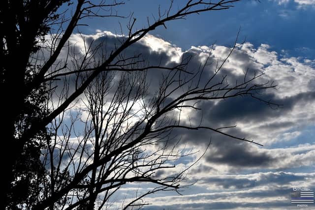 Stark Parks (Sandy Valley Trail) - Image 1