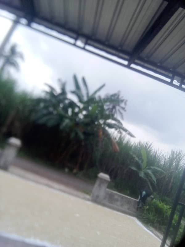 View sawah babakan - Image 1