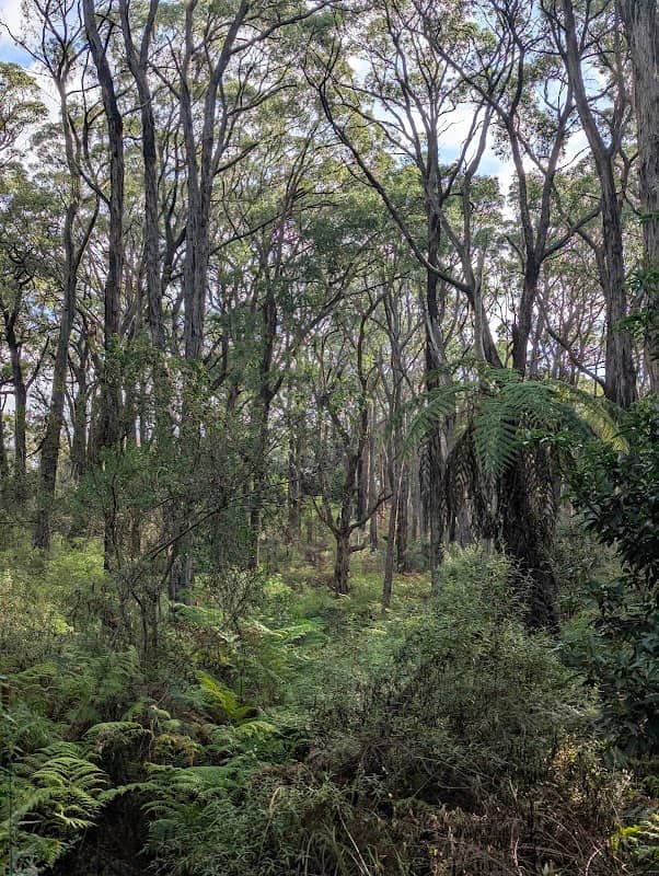 Wuchatsch Reserve - Image 1