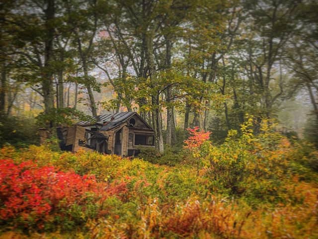 Berry Picker Cabin - Image 1