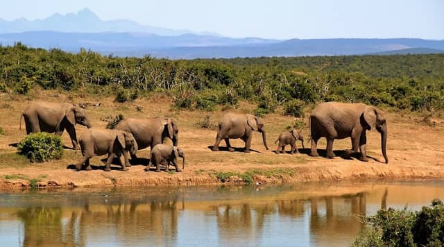 Corbett Reservation - Image 2