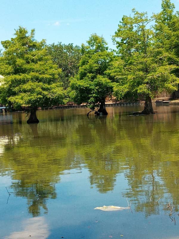 Lafayette Parks & Recreation - Image 1