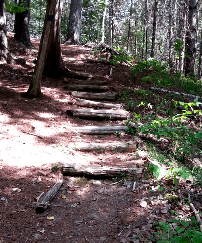 Elm Street Nature Trail - Image 2