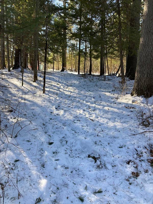 Elm Street Nature Trail - Image 1
