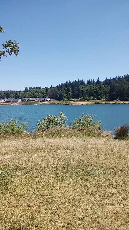 Turner Lake Park - Image 1