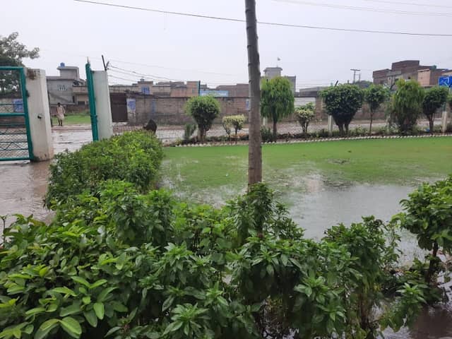 Garden of Govt Alaziz Hospital Muridke - Image 1