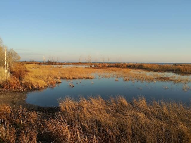 Peshtigo Harbor Wildlife area - Image 2